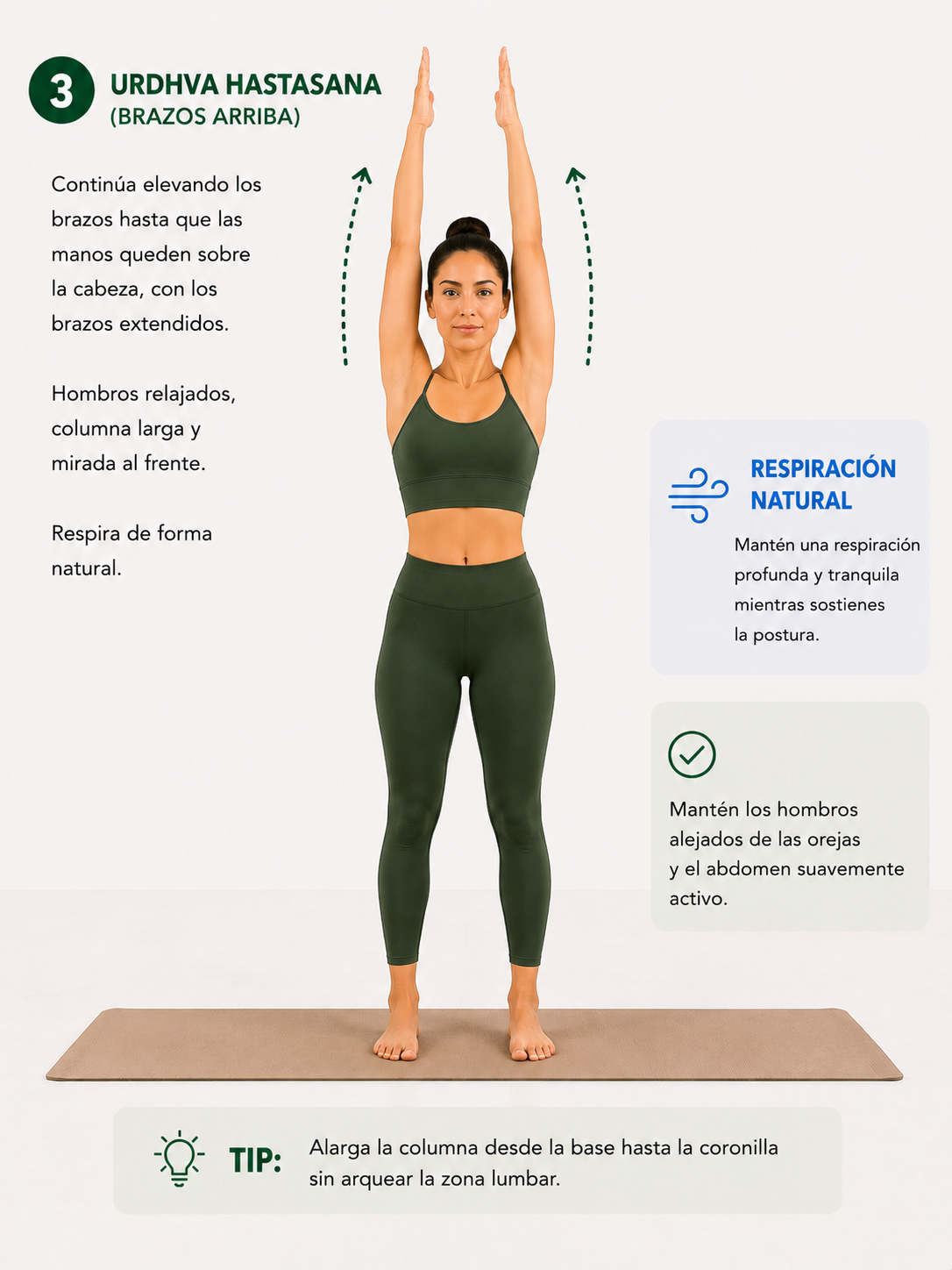 Elevación de brazos sobre la cabeza