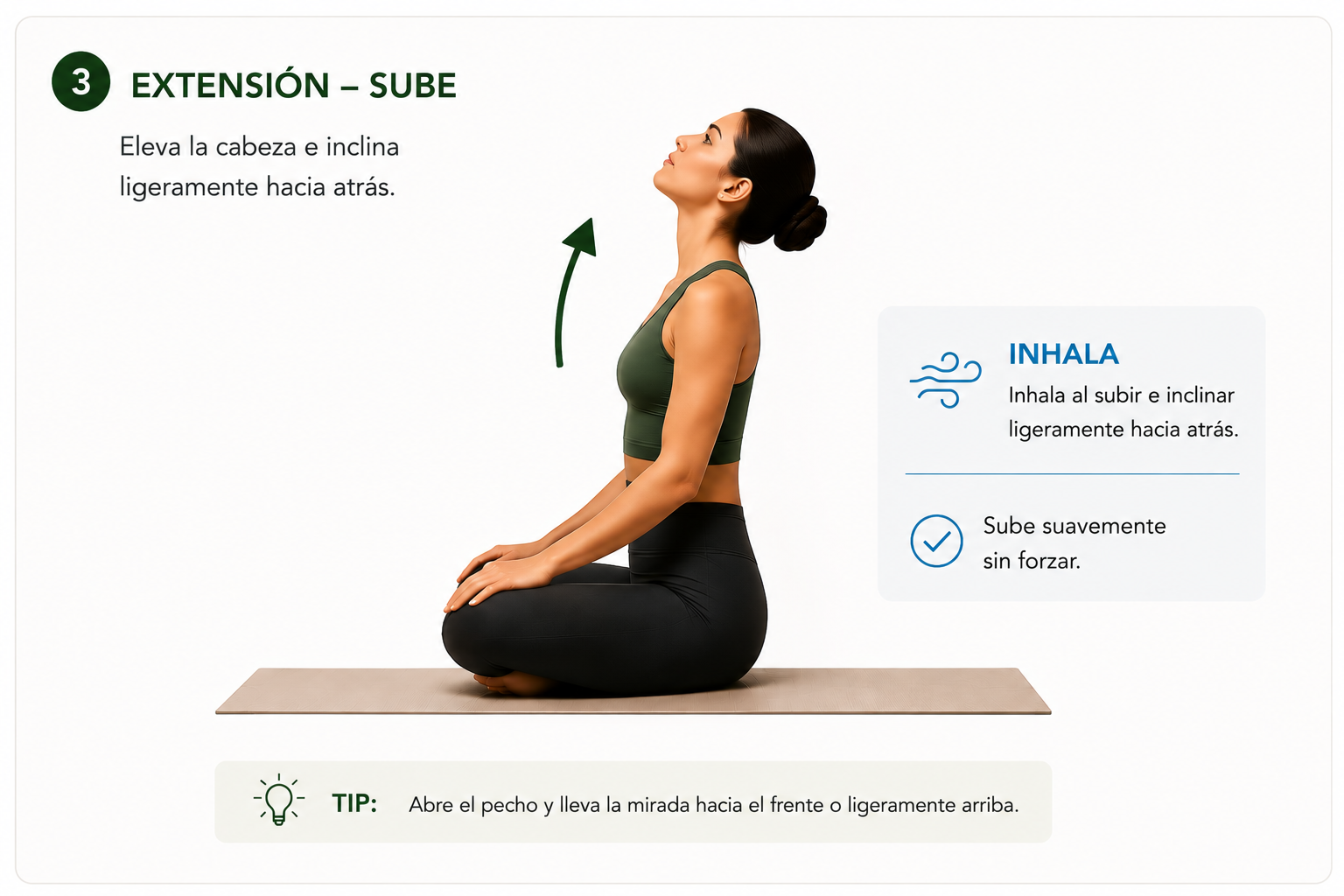 Flexión y extensión cervical